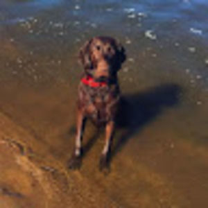Meet your Posher, Lexi
